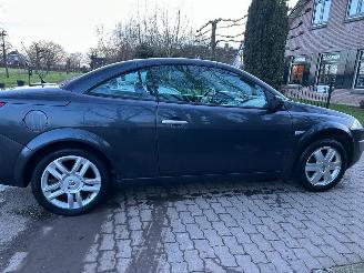 Renault Mégane Coupe Cabriolet 2.0-16V Privilège Luxe picture 10