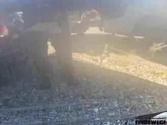 Seat Altea Altea (5P1), MPV, 2004 / 2015 2.0 FSI 16V picture 13