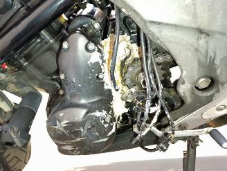 Kawasaki ER - 6 N  picture 16