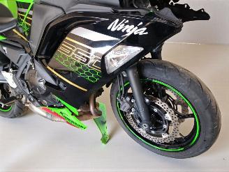 Kawasaki Ninja 650  picture 18
