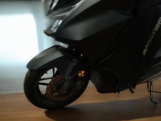 Honda  FORZA picture 20