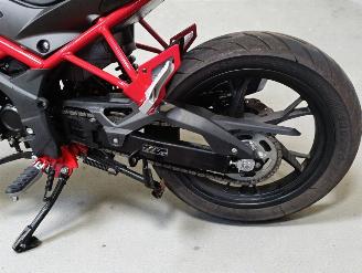 Benelli  BN picture 14