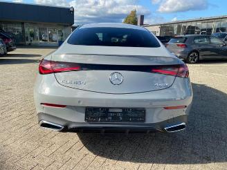 Mercedes Cl-klasse E 450 4Matic AMG Line Premium Plus *HUD - AHK* picture 12