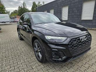 Auto incidentate Audi Q5 45 TFSI quattro S line PANO/AHK/KAM/NAVI 2022/9