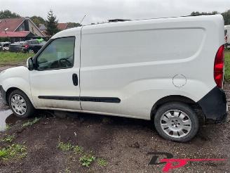 Fiat Doblo Doblo Cargo (263), Van, 2010 1.3 MJ 16V DPF Euro 5 picture 8