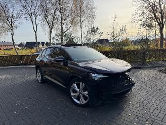 Avarii autoturisme Audi Q4 Audi Q4 E-tron 40e S-Line Panorama Camera LED VOL 2022/10