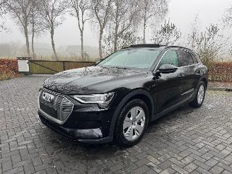 Audi E-tron Audi E-tron 55 Quattro S-Line Panorama Leder Trekhaak VOL picture 19