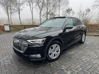 uszkodzony samochody osobowe Audi E-tron Audi E-tron 55 Quattro S-Line Panorama Leder Trekhaak VOL 2021/9