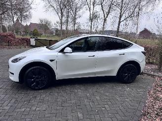 Tesla Model Y Tesla Model Y Long Range RWD PANORAMA Autopilot VOL picture 12