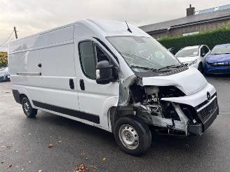 Opel Movano MAXI picture 6