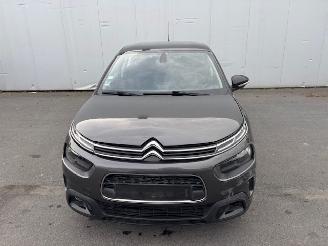 Citroën C4 cactus AUTOMAAT picture 5