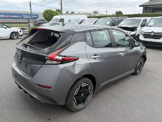 Avarii autoturisme Nissan Leaf  2023/12