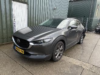  Mazda CX-30 2.0 e-SkyActiv-X M Hybrid Luxury 2020/6