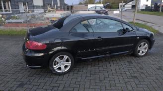 Peugeot 307 cabrio cc 2.0 lichte schade 179000 km picture 9