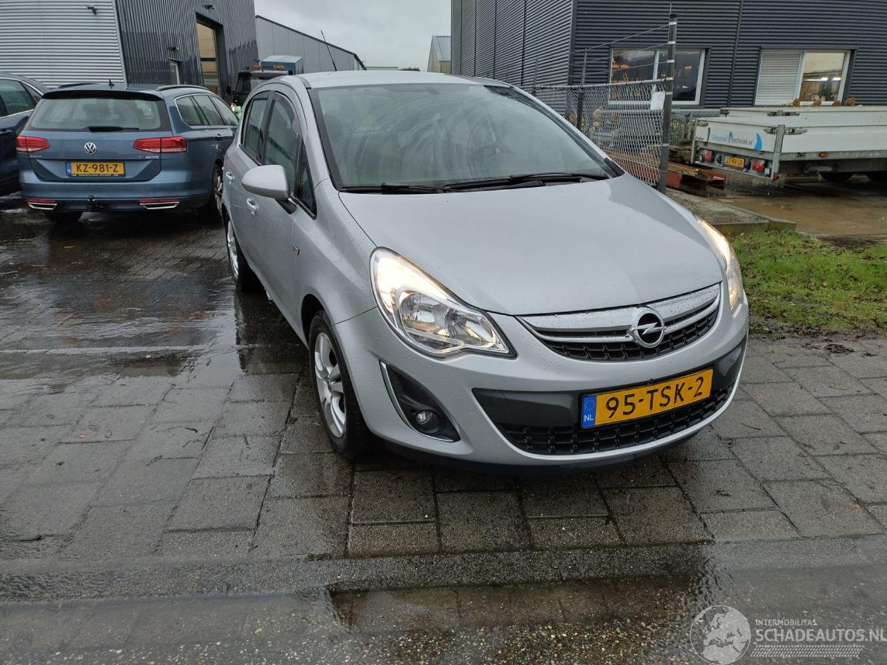 Opel Corsa 1.3 cdti ann. edition gebruikersschade