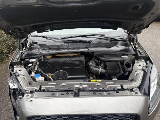 Jaguar E-Pace R-SPORT P250 PK AWD PANORAMA VOLL picture 22