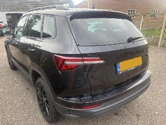 Skoda Karoq 1.0 TSI Business Edition 110PK picture 6