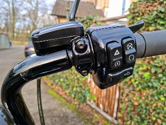 Harley-Davidson Road King 114 FLHRXS Road King Special 5HD Jekill & Hyde picture 22