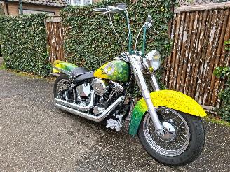 Harley-Davidson Heritage softtail FLSTC Heritage Classic picture 2