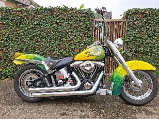 Schade motor Harley-Davidson Heritage softtail FLSTC Heritage Classic 1988/6