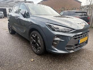 Cupra  TERRAMAR 1.5 TSI e-Hybrid SPORT 225 PK picture 9