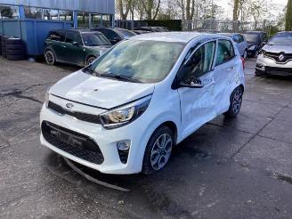 Kia Picanto Picanto (JA), Hatchback, 2017 1.0 12V picture 1