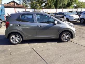 Kia Picanto Picanto (JA), Hatchback, 2017 1.0 DPi 12V picture 4