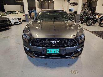 Ford Mustang  picture 3