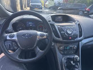 Ford Grand C-Max Titanium picture 12
