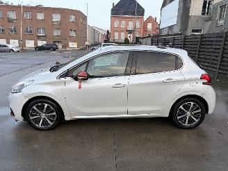 Peugeot 208 ROLAND GARROS picture 26