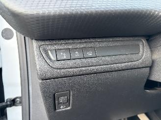 Peugeot 208 ROLAND GARROS picture 20