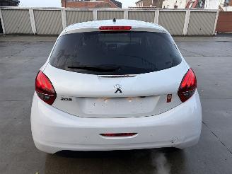 Peugeot 208 ROLAND GARROS picture 24