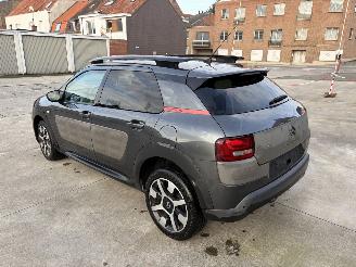 Citroën C4 cactus AUTOMATIC picture 4