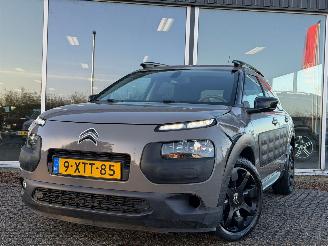 Citroën C4 cactus 1.2 PureTech NAP picture 8