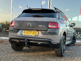 Citroën C4 cactus 1.2 PureTech NAP picture 4