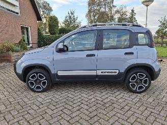 uszkodzony samochody osobowe Fiat Panda 1.0 hybrid  cross   52kw 2021/5
