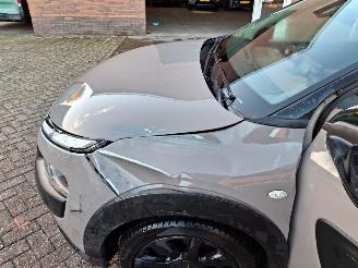 Citroën C4 cactus 1.2I 110PK NAVI  SHINE picture 5