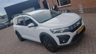 skadebil auto Dacia Jogger 1.0 tce  110pk navi 7 zitter 2024/8