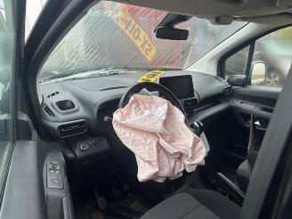 Opel Combo Combo Cargo, Van, 2018 1.6 CDTI 100 picture 9