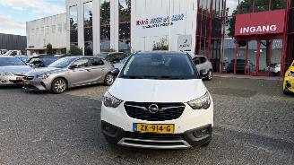 krockskadad bil auto Opel Crossland X 1.2 Turbo 120 Jaar Edition 2019/6