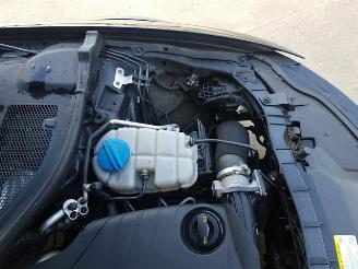 Audi A6 allroad quattro 3.0 TDI Premium Edition picture 13