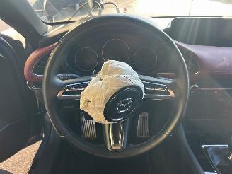 Mazda 3 2.0 e-SkyActiv-X M Hybrid 180 Luxury picture 19