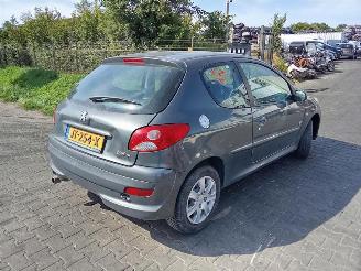 Sloopauto Peugeot 206+ 1.4 2012/4