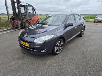 Renault Mégane 2.0 16V picture 3