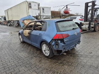 Volkswagen Golf 1.6 TDi picture 2