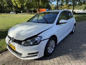  Volkswagen Golf 1.0 tsi 2016/8