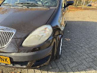 Lancia Musa  picture 9