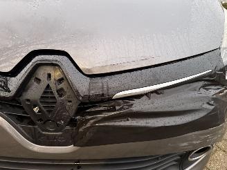 Renault Clio  picture 9