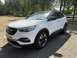 Schadeauto Opel Grandland X 2018/1