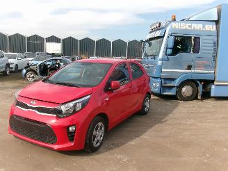 skadebil auto Kia Picanto 1.0  Easy - Airco 2021/1
